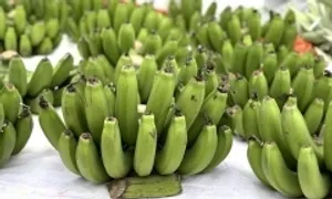 9 thực phẩm giúp kiểm soát huyết áp