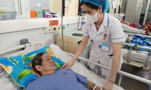 Cụ bà bị hươu húc gãy 14 xương sườn Cụ bà bị hươu húc gãy 14 xương sườn