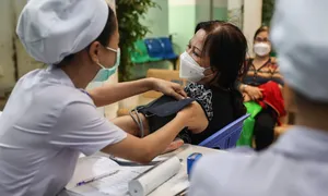 Loạn bán 'trà hạ huyết áp' trên mạng Loạn bán 'trà hạ huyết áp' trên mạng