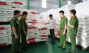 Cảnh sát phát hiện hơn 71.000 lít dầu ăn, 40 tấn mì chính giả