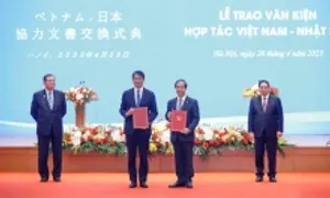 Thúc đẩy dạy tiếng Nhật từ lớp 3 đến lớp 12 trên toàn quốc Thúc đẩy dạy tiếng Nhật từ lớp 3 đến lớp 12 trên toàn quốc