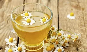 6 thảo dược quen thuộc giúp thanh lọc cơ thể 6 thảo dược quen thuộc giúp thanh lọc cơ thể