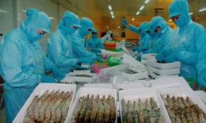 Trung Quốc vượt Mỹ dẫn đầu về nhập thủy sản Việt Nam Trung Quốc vượt Mỹ dẫn đầu về nhập thủy sản Việt Nam
