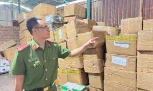 Nhập lậu 'thuốc nhúng chín sầu riêng', 2 người bị khởi tố