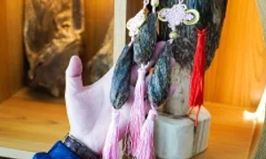 Nghề trầm hương, lễ hội yến sào Khánh Hòa thành di sản quốc gia Nghề trầm hương, lễ hội yến sào Khánh Hòa thành di sản quốc gia