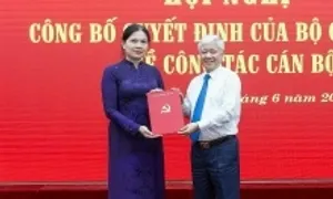 Bí thư Tỉnh ủy Tuyên Quang cũ tham gia Thường vụ Đảng ủy Mặt trận Tổ quốc Bí thư Tỉnh ủy Tuyên Quang cũ tham gia Thường vụ Đảng ủy Mặt trận Tổ quốc