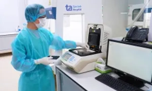 Nhận diện cơn đau khớp do virus Chikungunya Nhận diện cơn đau khớp do virus Chikungunya