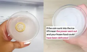 Vì sao nên bỏ đồng xu vào tủ lạnh?