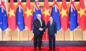 Việt Nam muốn học hỏi kinh nghiệm của New Zealand về nông nghiệp sạch, công nghệ cao Việt Nam muốn học hỏi kinh nghiệm của New Zealand về nông nghiệp sạch, công nghệ cao