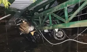 Loạt cây đổ đè sập nhà, chắn ngang đường ở TP HCM Loạt cây đổ đè sập nhà, chắn ngang đường ở TP HCM
