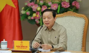Phó thủ tướng yêu cầu có biện pháp kinh tế quản lý xe không đạt chuẩn môi trường Phó thủ tướng yêu cầu có biện pháp kinh tế quản lý xe không đạt chuẩn môi trường