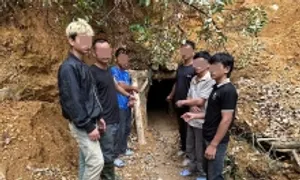 Bảy người bị bắt quả tang khai thác vàng trái phép