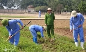 Đề xuất tăng 10 lần tiền cho vay với người hết nghiện ma túy