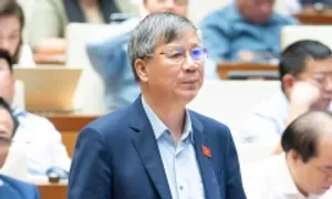 'Phát triển cao tốc trên cao và tuyến ven biển để ứng phó biến đổi khí hậu'