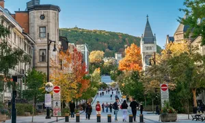 'Bộ tứ' du học dần mất thế độc tôn